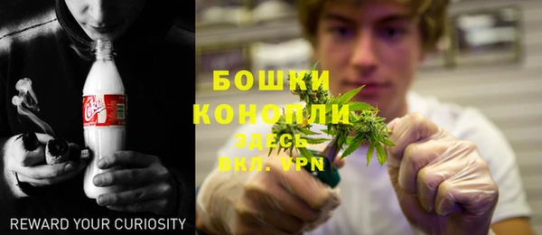 тгк Арсеньев