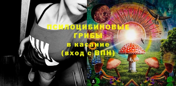 гидропоника Аркадак