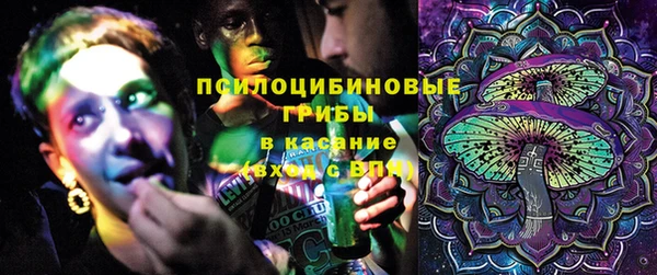 тгк Арсеньев