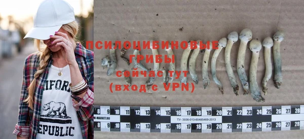 тгк Арсеньев