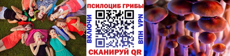 mega ссылка  Михайловск  Псилоцибиновые грибы GOLDEN TEACHER 